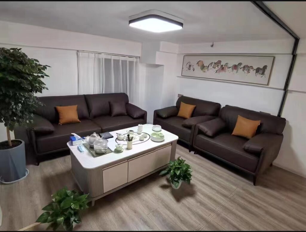 Luxury modular custom sectional home furniture soft interior linen leather  living room sofas