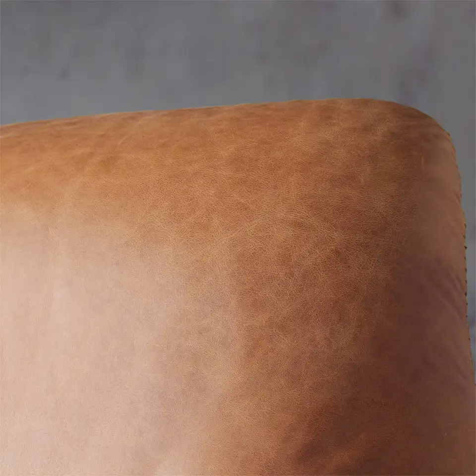 Luxury relax leisure home furniture metal frame modern simple custom color leather armchair living room chair